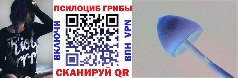 Галлюциногенные грибы Psilocybine cubensis  Гремячинск 
